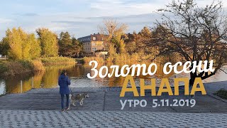 #АНАПА 5.11.2019. Утро. Золото осени. Лошадки в Детском парке. Море и пляж. Хаски Дайя. Погода.