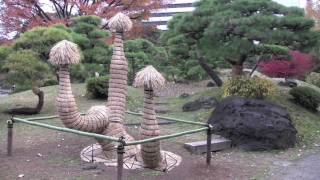 旧芝離宮恩賜庭園　紅葉　2009年11月29日（日）