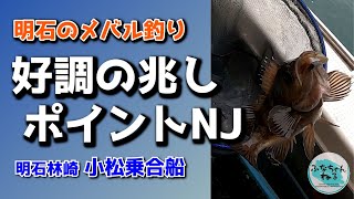 【メバル】3月大潮回り（15日潮）好調の兆しポイントNJ