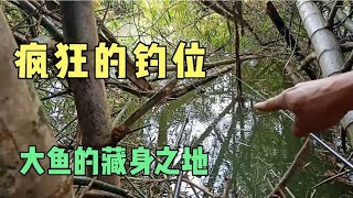 疯狂的钓鱼人，疯狂的位子，夏天欢迎：挑战夜钓