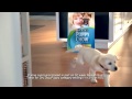 America's #1 Puppy Food - Purina® Puppy Chow® Commercial