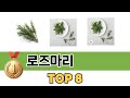 요즘 가장 인기있는 로즈마리 TOP 8 쇼핑 정보