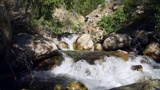 Cascading Summer Creek Sounds