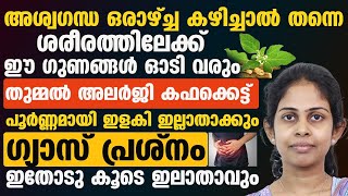 ഗ്യാസ് പ്രശ്നം ,തുമ്മൽ അലര്ജി ,കഫക്കെട്ട് എന്നിവക്ക് എല്ലാത്തിനും പരിഹാരം ഇതാണ് | aswagandha benefit