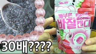 먹으면 30배가 커지는 배부른 사탕?? 사탕 다이어트?? 사탕으로 배 채우자!! - 쏫 (Basil Seed Candy for DIET?? - SSOT)