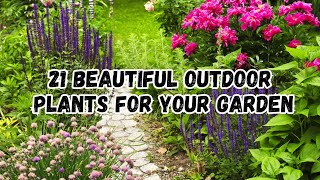 Transform Your Garden with These 21 Beautiful Outdoor Plants