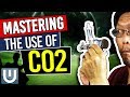 Master Co2 in Your Aquarium NOW! - Part 6