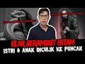 LAH LOK KOK UJUNGNYA JADI BEGINI EH ADA ULAR BERAMBUT? - TC