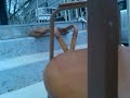 mid century thonet chair ... up close and personal ....