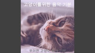 아름다운 장소 기악