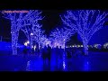 4k 東京聖誕燈飾🇯🇵青の洞窟復活 shibuya❄️tokyo christmas illumination virtual walking tour japan 澀谷 代々木公園