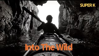 Into the Wild - 4K Video