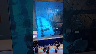 Dubai fish aquarium 🐟 #shorts #youtube.com #youtubeshorts #vlog #viral #viralvideo  #short