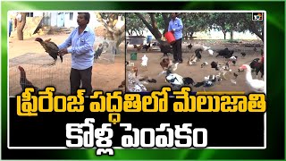 ఫ్రీరేంజ్ ప‌ద్ధ‌తిలో మేలుజాతి కోళ్ల పెంప‌కం: Poultry Farming Methods | Matti Manishi | 10TV News