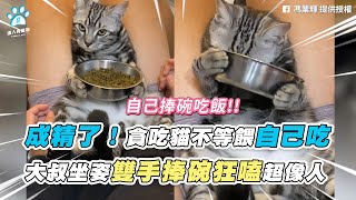 【成精了！貪吃貓不等餵自己吃 大叔坐姿雙手捧碗狂嗑超像人】｜@業輝馮  / Sherry Kang