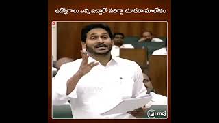 చూడు బాగా చూడు పప్పు......