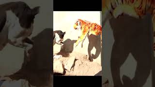 😂😂🐕🐯Prank Dog with Fake Tiger So Funny Dogs Prank Try To Stop Laugh 2021 #shorts 🐕