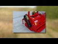 maschio tigre mulcher