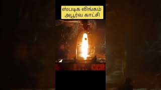 அபூர்வ ஸ்படிக லிங்கம்  காட்சி #appoorva spadiga lingam #lord.siva