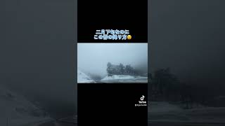 二月下旬なのに~ もう雪はお腹いっぱい！！ #盛岡市 #雪 #運転動画