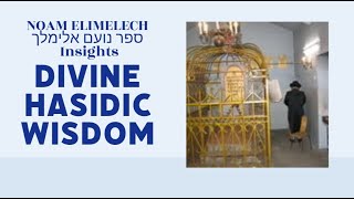 Noam Elimelech Parshas Bereishis - Hasidic Bible study Genesis