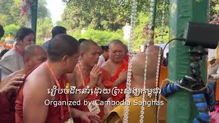 Video 2023 at Tipitaka chanting ceremony in Bodhgaya India ការសូត្រព្រះត្រៃបិដកអន្តរជាតិលើកទី១៨