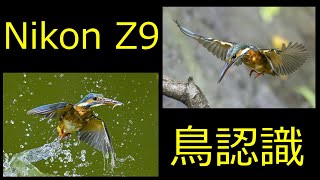 Nikon Z9  鳥認識　新ファームVer.4.10  カワセミ撮影　検証