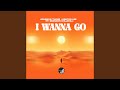 I Wanna Go (Soulful Twilight Guitar Mix)