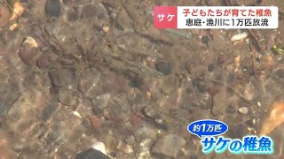 サケの稚魚１万匹を子どもたち700人が川に放流 幼稚園や学校で卵をふ化させて育てる…３～４年後に帰る日を心待ちに　北海道恵庭市・漁川