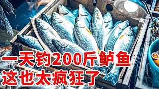 阿杰一天钓了200斤活鲈鱼，整个船舱都放满了，这也太疯狂了！