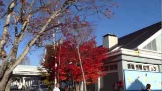 ハンターマウンテン塩原の紅葉　栃木県那須塩原　Hunter Mountain in autumn