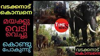 wild elephant Vadakanadu Komban captured by Forest officials