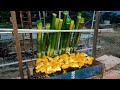 15/05/2021 Raya Ketiga BBQ | Lemang With Family at Kampung Bagan Buaya Penang