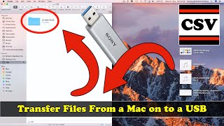How to TRANSFER Files From a Mac on to a USB | New