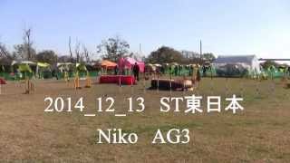 2014 12 13 AG3 Niko