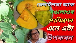 ভেদাইলতা আৰু ৰঙালাওৰ এনে এটা উপকৰণ, এবাৰ খালে ইয়াৰ সোৱাদ কেতিয়াও নাপাহৰে। PUMPKIN WITH SKUNK VINE.