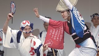 癒やしの阿波踊り❕「いろは連」2019秋の座・高円寺阿波おどり（2019.11.23）