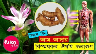 ✅আম আদার অজানা ঔষধি গুণাগুণ ! Health Benefits of Curcuma amada - Bangla Health Tips | Fusion Care