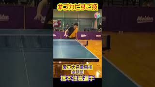 #ブカピすご技 愛工大名電高校卓球部 橋本悠嵩選手！ #ブカピ #shorts