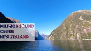 Milford Sound Cruise | New Zealand Road Trip 2024 #8