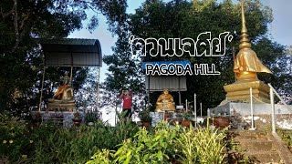 Vlog ชม ทะเลหมอก - ควนเจดีย์ 'PAGODA HILL' ลำไพล-เทพา-สงขลา @gritscollection1959