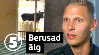 Södertäljepolisen | Kvinna blir vettskrämd av objuden gäst | Tisdagar 20.00 på Kanal 5