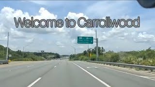 Carrollwood, Tampa | One of the nice established suburbs in the Tampa area