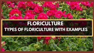 FLORICULTURE - WHAT IS FLORICULTURE? TYPES OF FLORICULTURE PLANTS WITH EXAMPLES