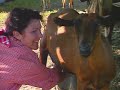 rencontrez les héros de la ferme