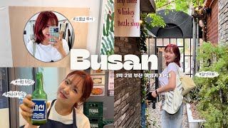 부산여행vlog ep.1 | 서면맛집 구워삶기, 소품샵투어🧸, 감성카페 넉아웃☕️, 해운대맛집 승한막창