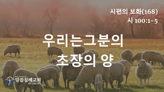 시편의 보화(168)  그분의 초장의 양, 시 100:1-5, 말씀침례교회, Pastor. Peter Yoon