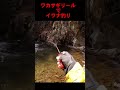 ワカサギリールでイワナ釣り＃short