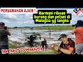 PERSAWAHAN AJAIB❗️HARMONI RIBUAN BURUNG & PETANI DIMALAYSIA YG LANGKA