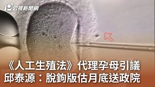 《人工生殖法》代理孕母引議 邱泰源：脫鉤版估月底送政院｜20241205 公視中晝新聞